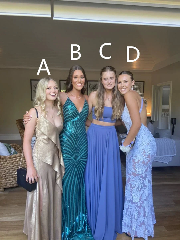 Different Style Prom Dress Evening Dress Gala Dress Y5473 by simplepromdress