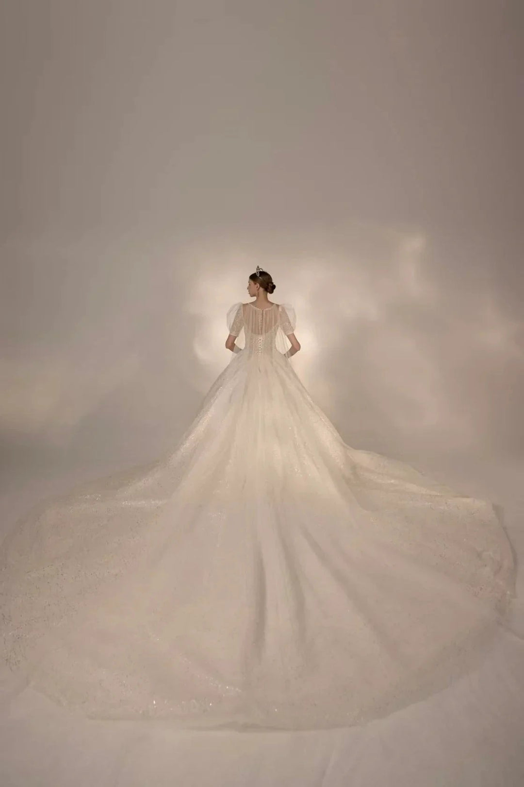 Sparkling Ball Gown Sweetheart Neck Tulle Wedding Dress with Beaded Embroidery &amp; Sheer Puff Sleeves Q6021 by ZAPDRESS