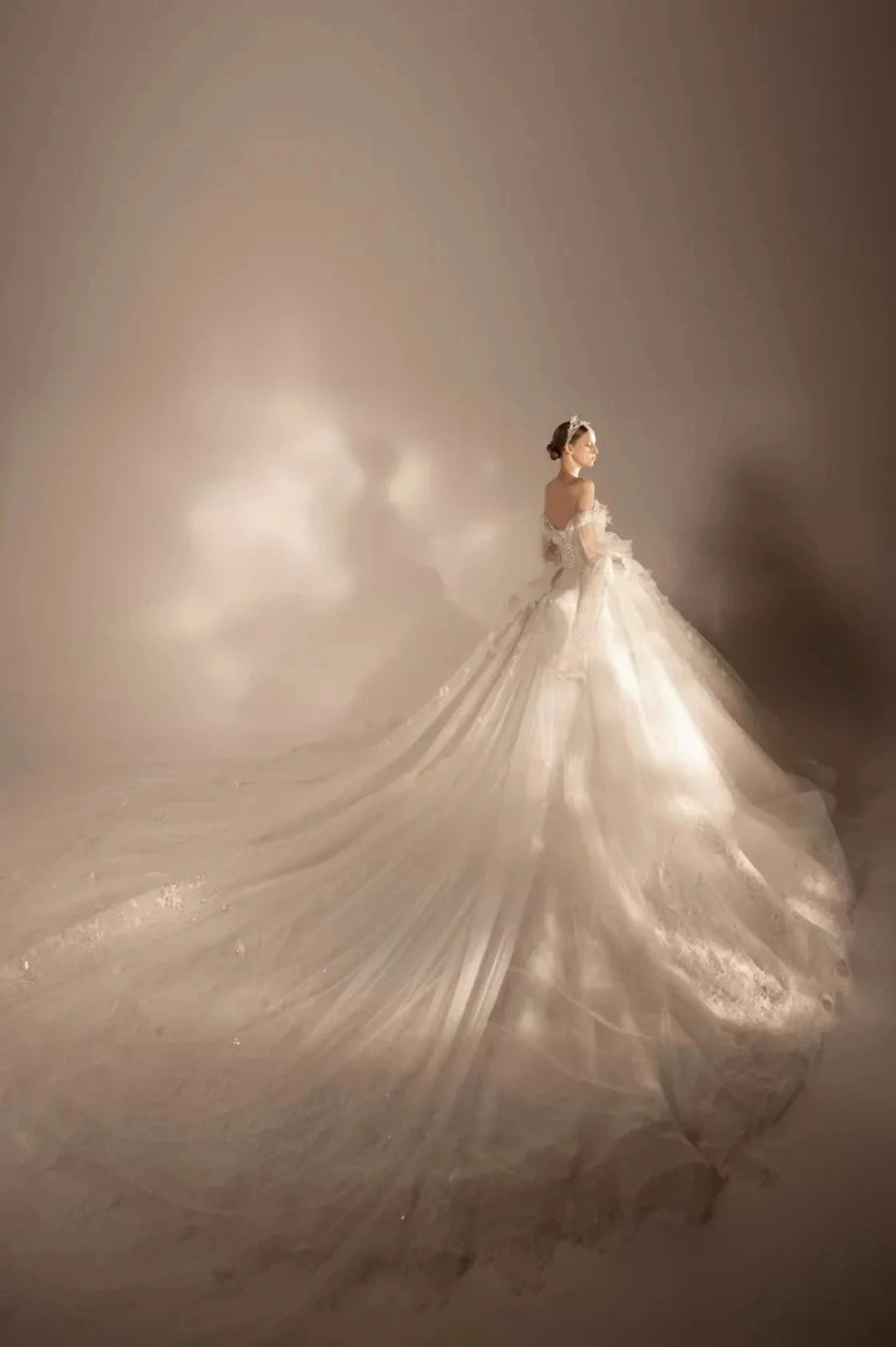 Gorgeous Long Ball Gown Off-the-Shoulder Tulle Wedding Dress with 3D Floral &amp; Crystal Embroidery &amp; Cathedral Train H009 by ZAPDRESS
