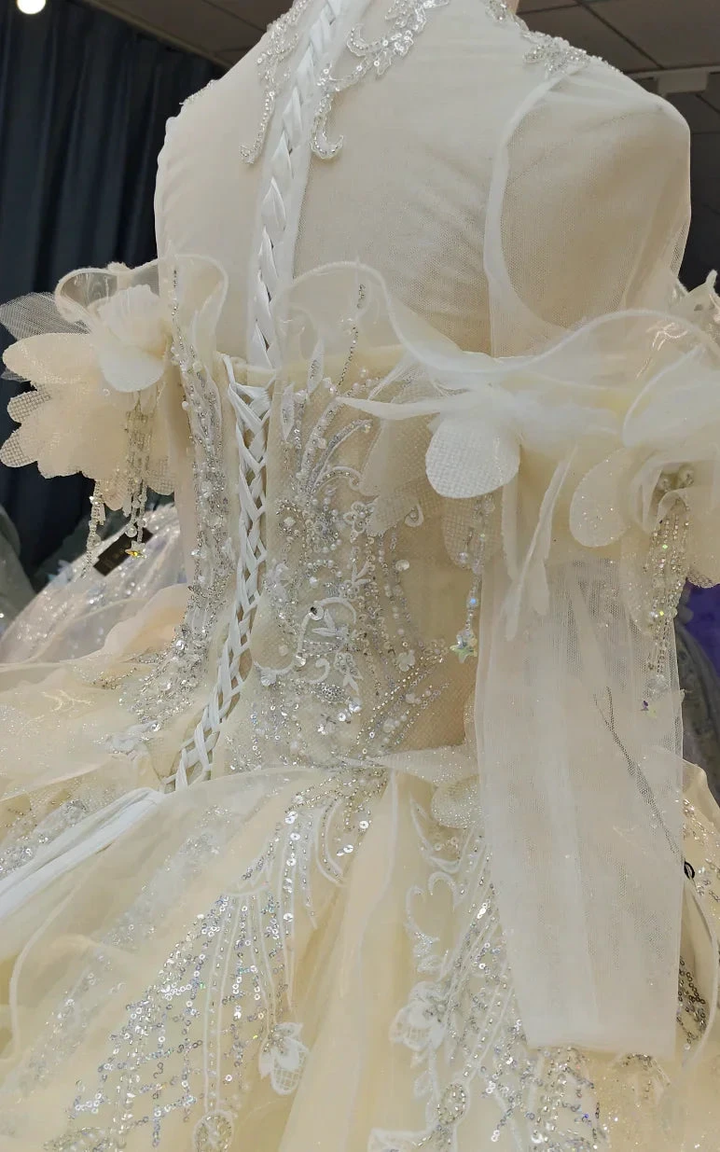 Cream Shimmer Off-Shoulder Ballgown Crystal-Embroidered Skirt &amp; Fringed Collar by ZAPDRESS