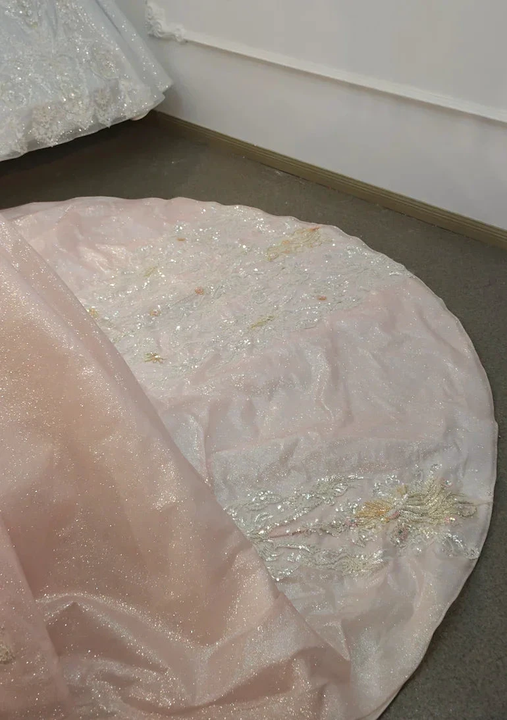 Lavish Blush Pink High-Neck Ball Gown Wedding Dress with Beaded Fringe &amp; 3D Floral Embroidery Ye-2026 by ZAPDRESS