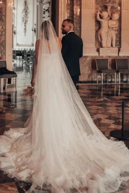 Luxury Long Mermaid Spaghetti Straps Glitter Wedding Dresses With Lace by misshow.com