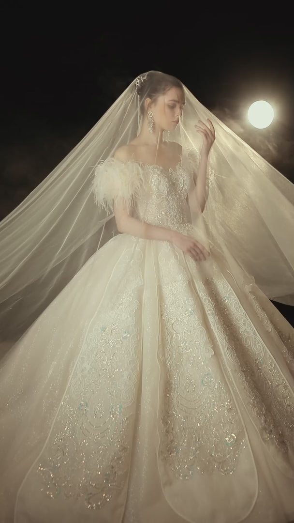 Luxurious Off-the-Shoulder Ball Gown Sweetheart Neckline Feather Trim Beaded Lace Wedding Dress with Glitter Train E-306